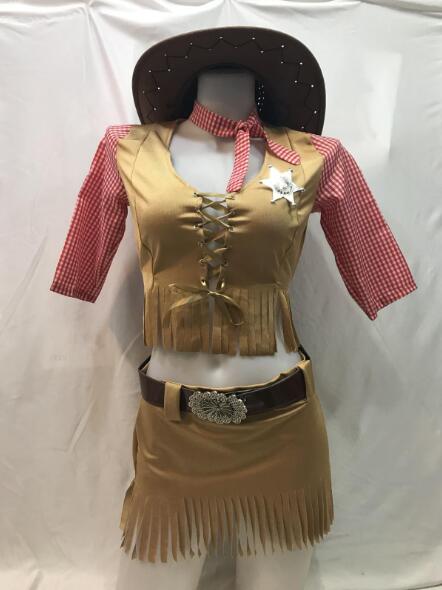 Women's Cowboy Pirate Halloween Costume