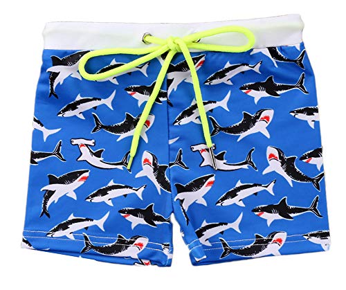 Printed Toddler Boys Swim Trunks