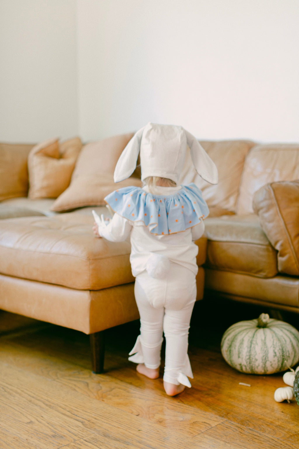 Circus Bunny Costume