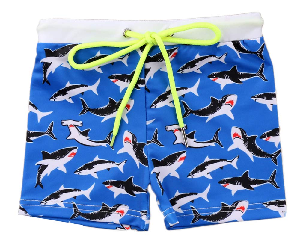 Printed Toddler Boys Swim Trunks