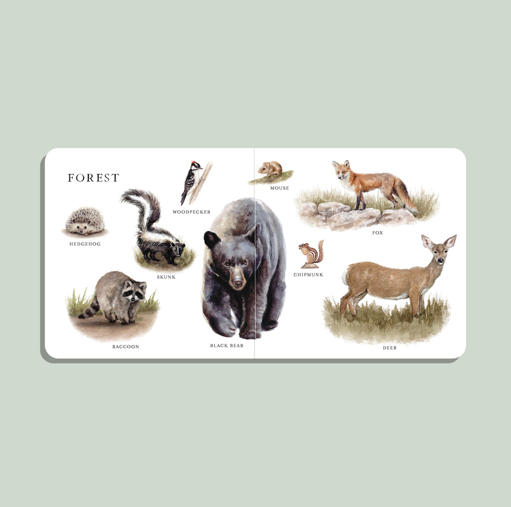 Our Big Book of Animals – product view 3