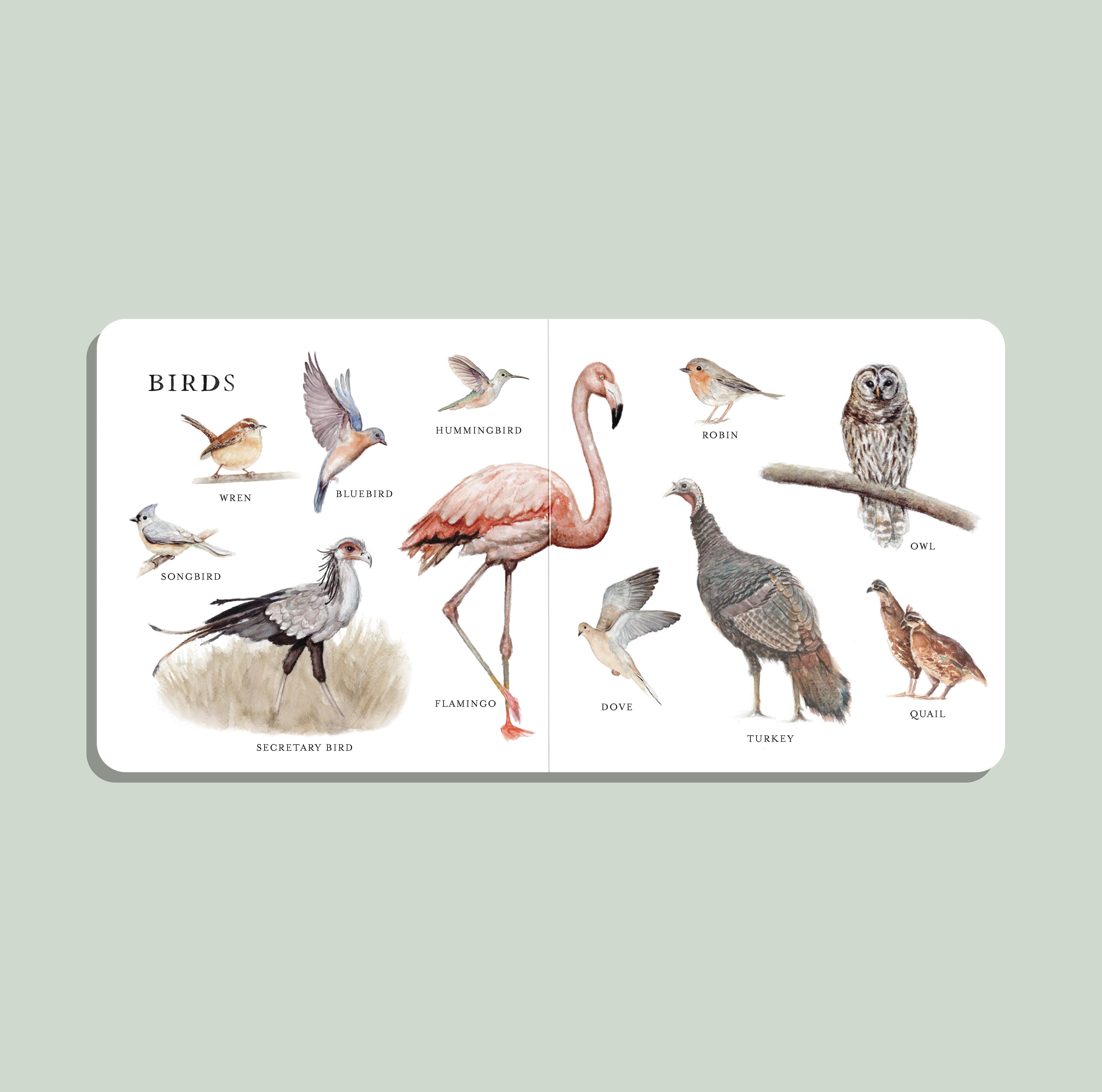 Our Big Book of Animals – product view 4