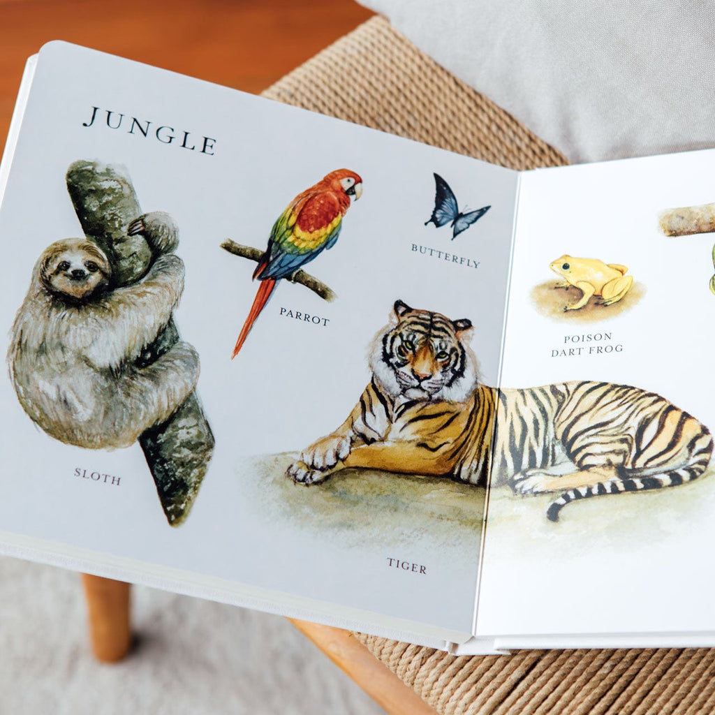 Our Big Book of Animals – product view 2