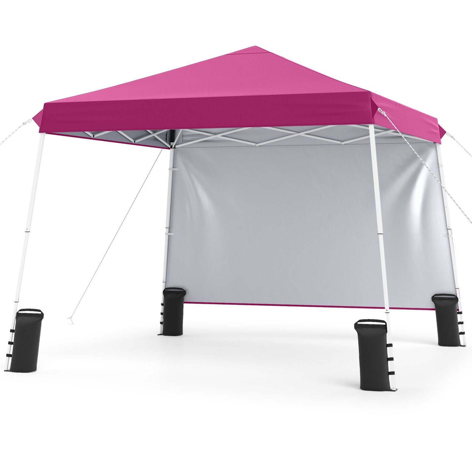 9x9 Pop-Up Canopy Tent with Carry Bag – product view 19