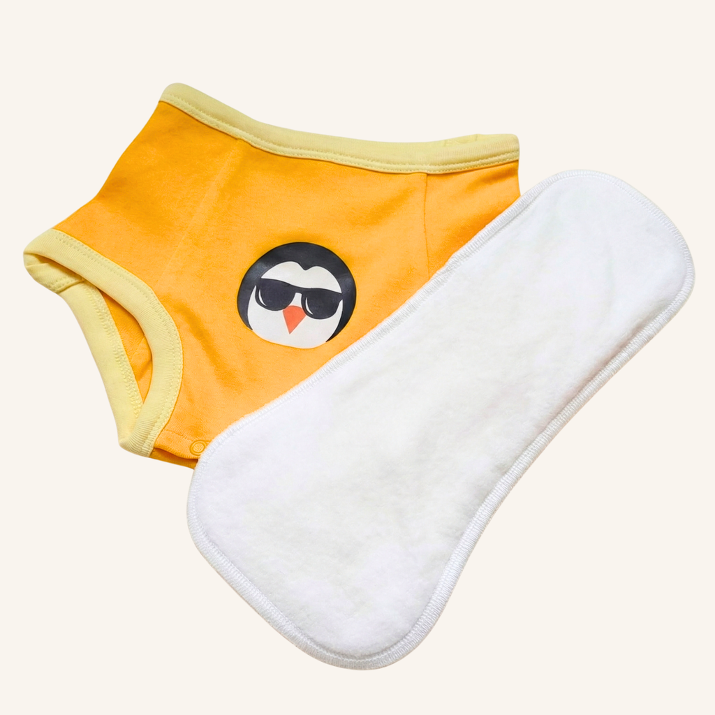 Potty Training & Bedwetting Underwear – Archive Sale