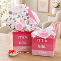 It’s a Girl New Baby Gift Basket