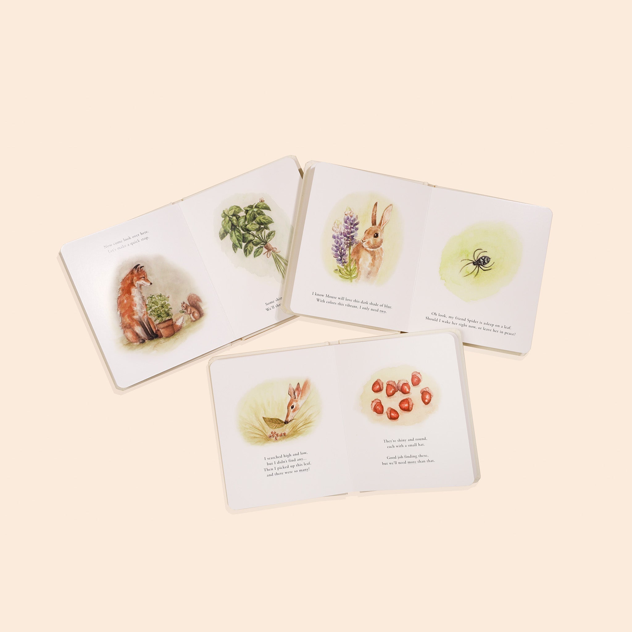 Our Little Adventures Nature Board Book Set – product view 4