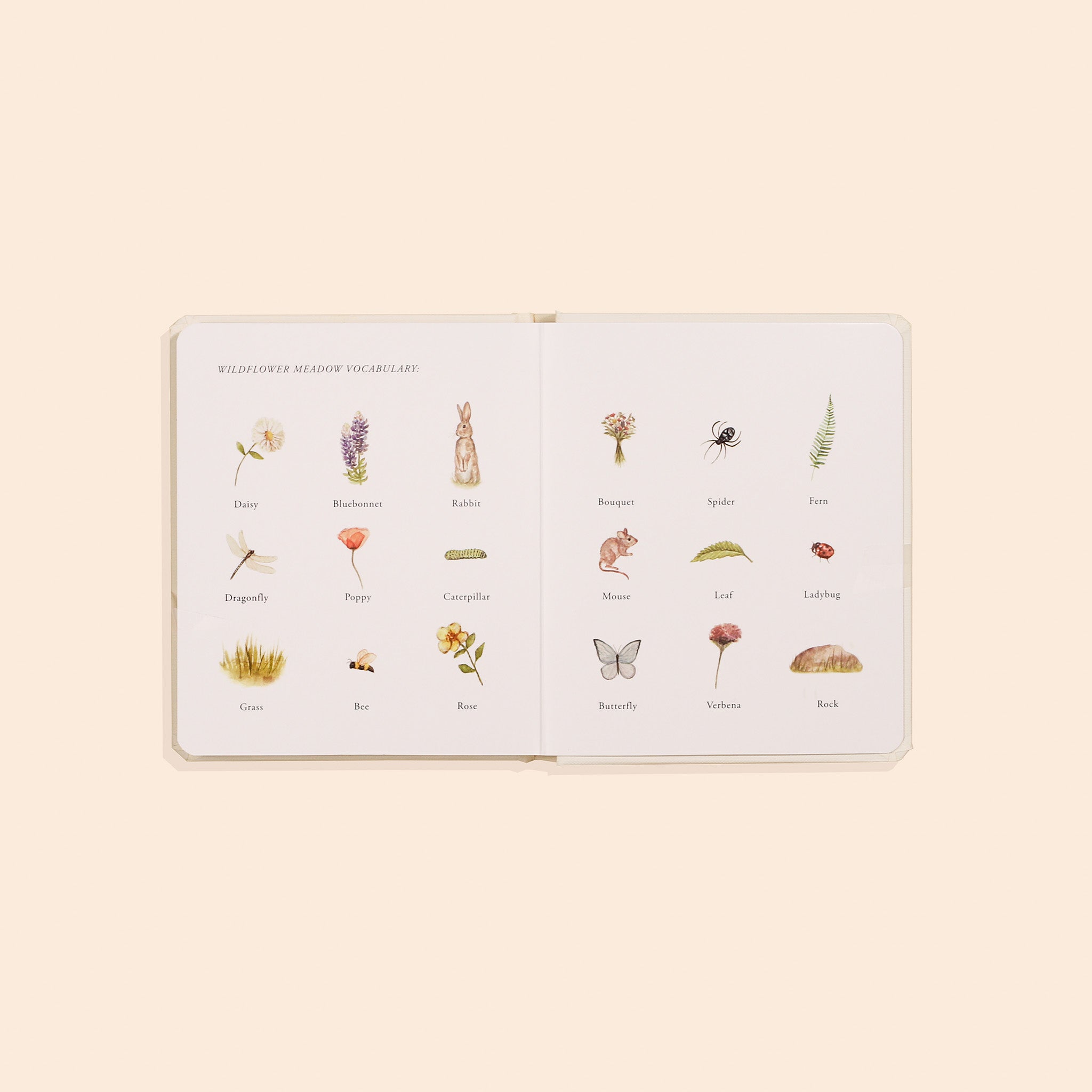 Our Little Adventures Nature Board Book Set – product view 5