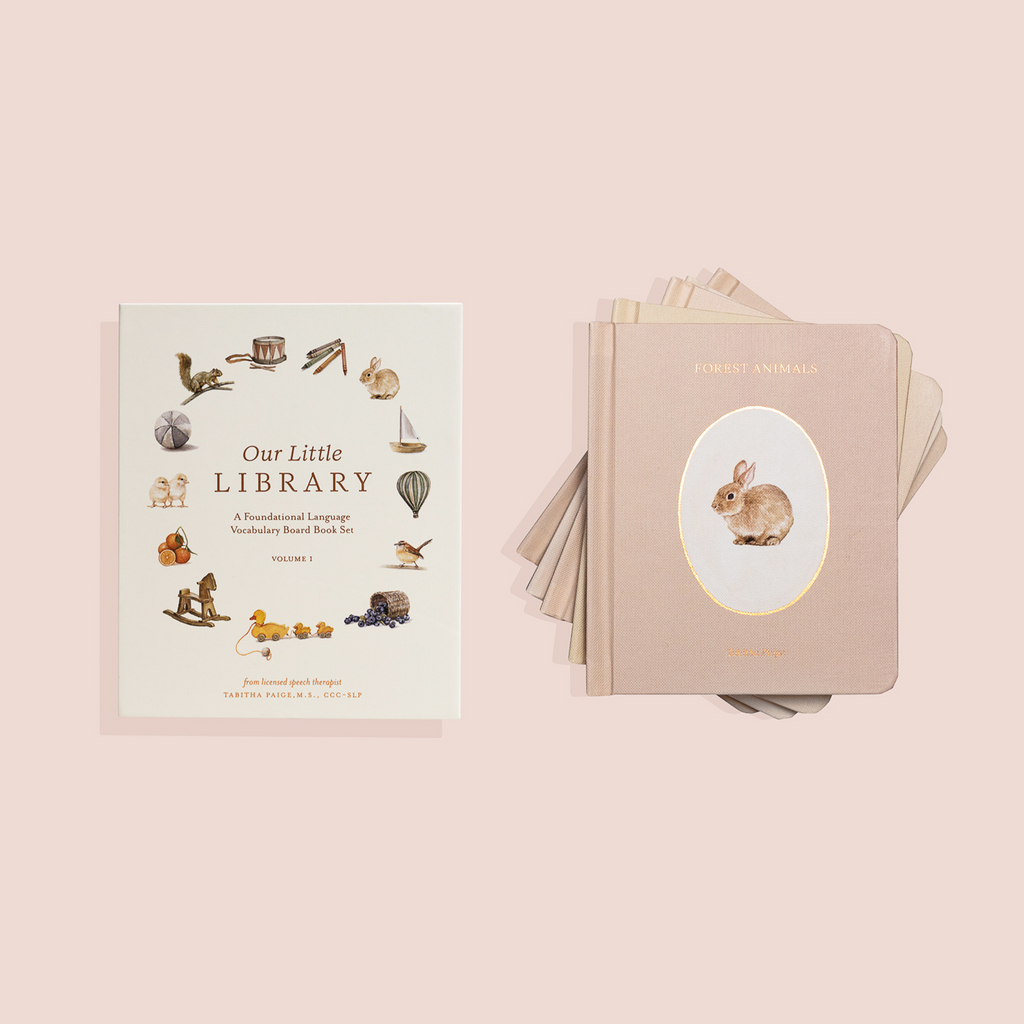 Our Little Library First Words Board Book Set