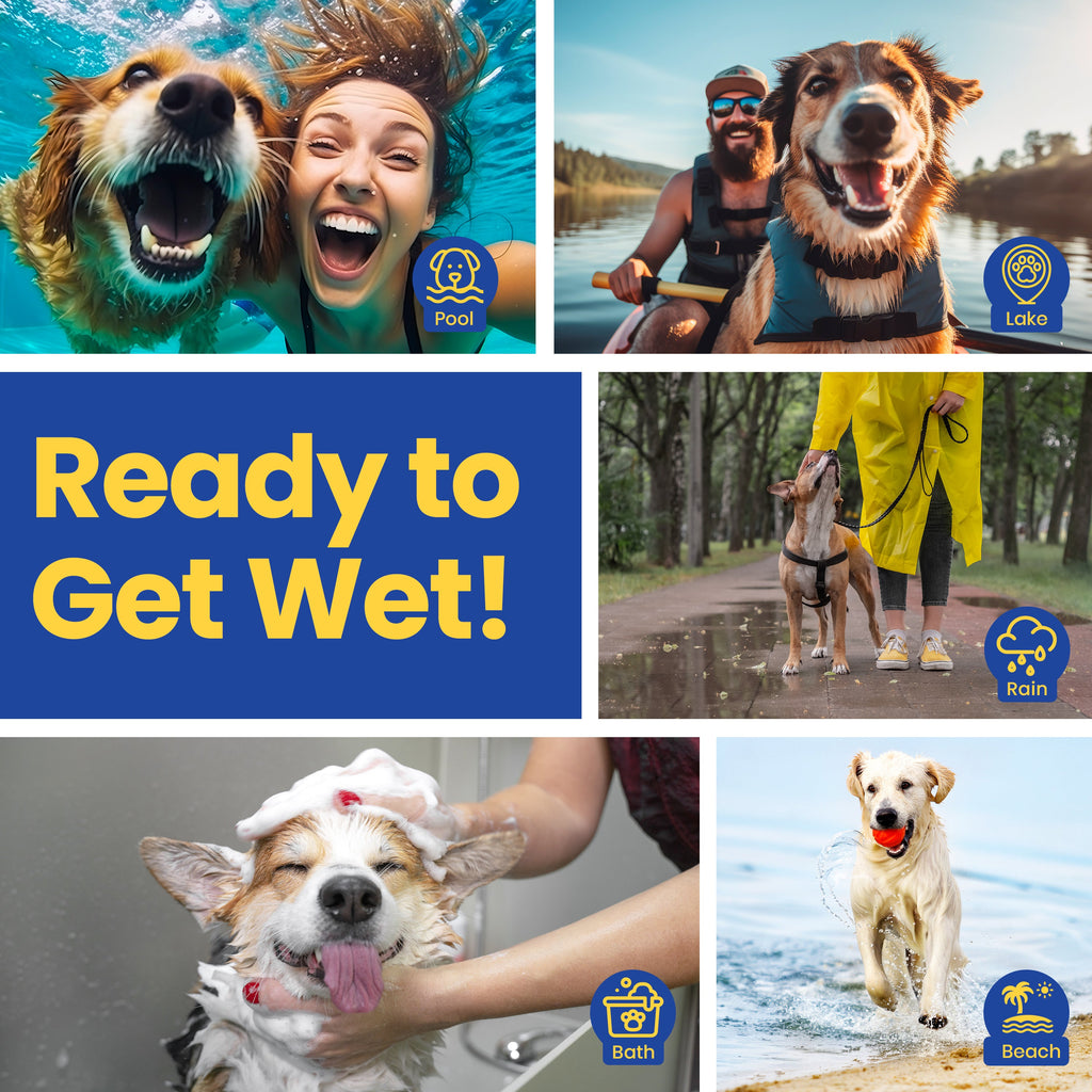Quick-Dry Dog Shammy Towel – 1 or 2 Pack