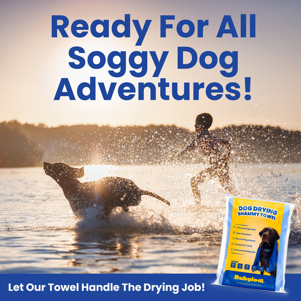 Quick-Dry Dog Shammy Towel – 1 or 2 Pack