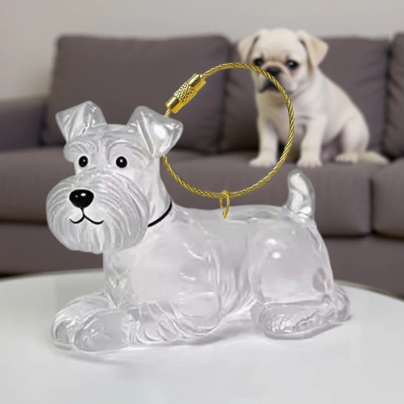 Clear Pet Hair Memorial Capsule Keychain