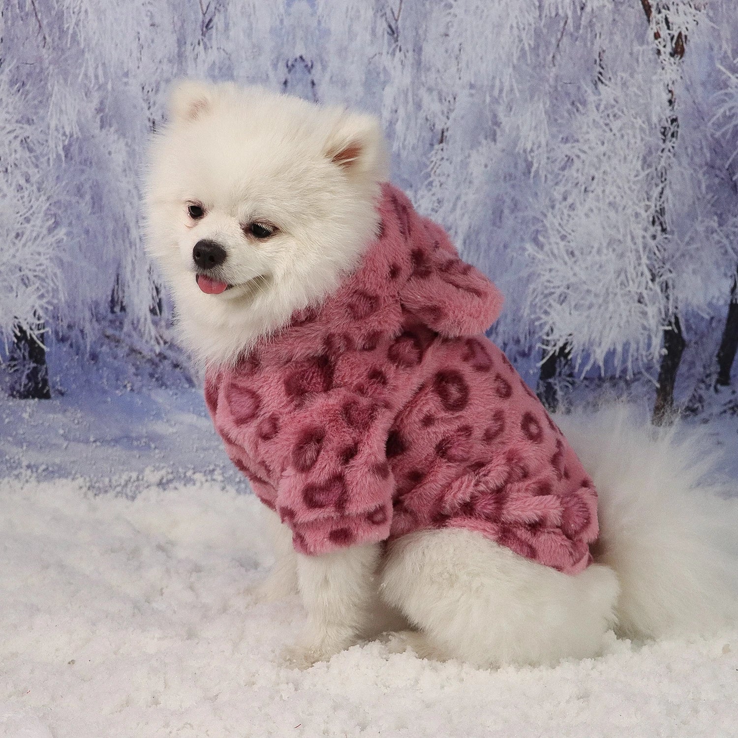 Warm Fleece Hooded Pet Jacket