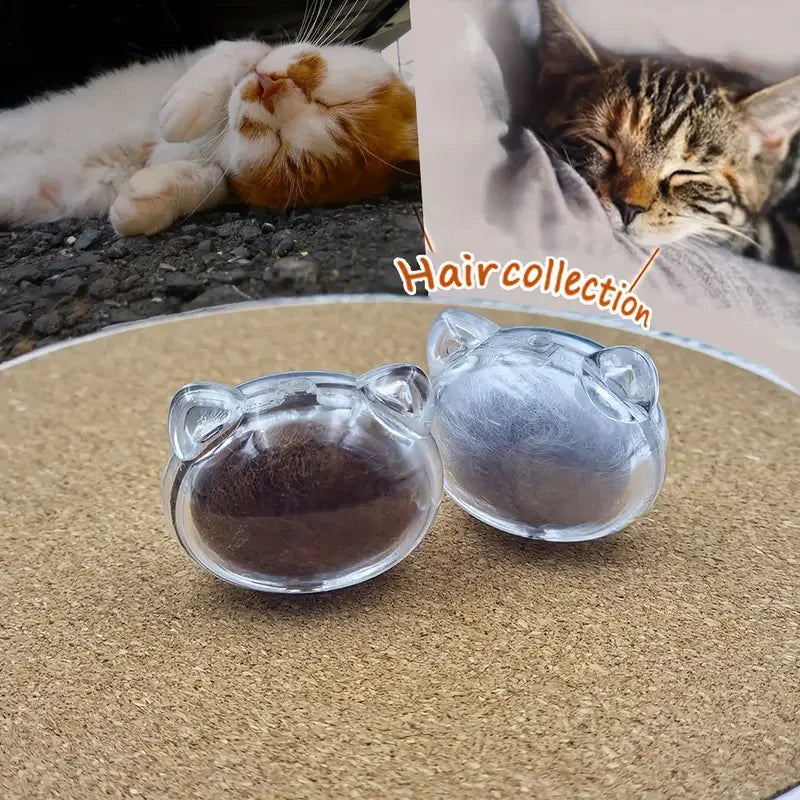 2-Piece Transparent Pet Fur Keepsake Box