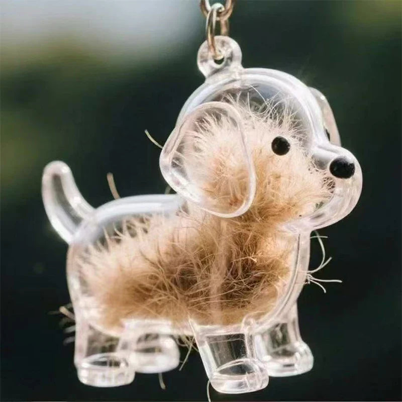 Clear Pet Hair Memorial Keepsake Capsule
