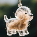 Clear Pet Hair Memorial Keepsake Capsule