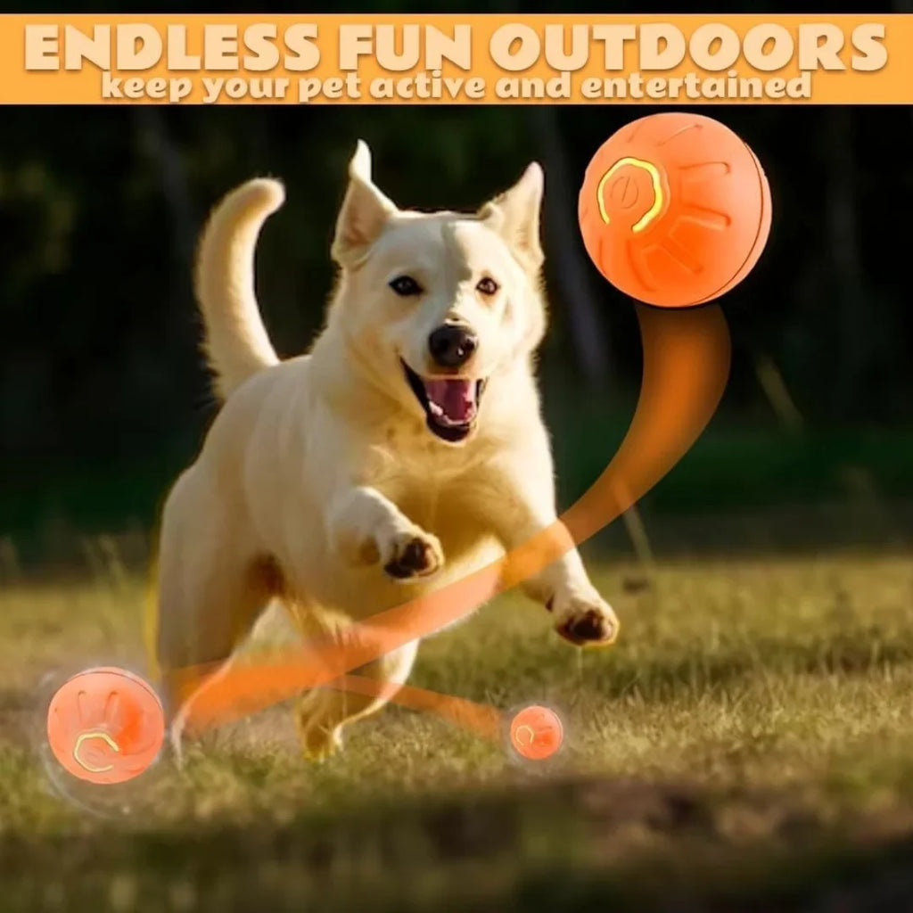 Interactive Smart Bouncing Pet Ball