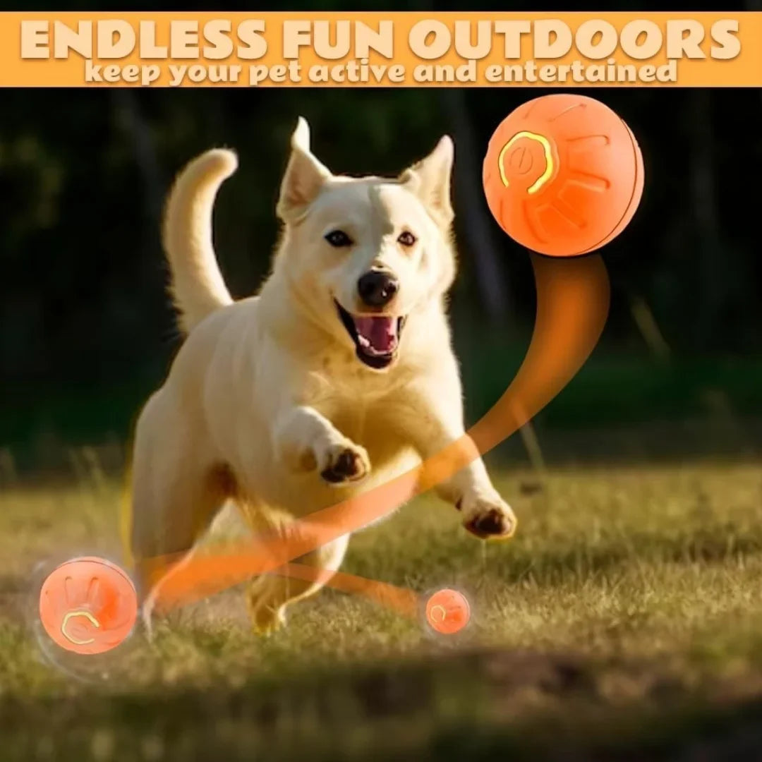 Interactive Smart Bouncing Pet Ball