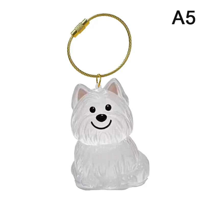 Clear Pet Hair Memorial Capsule Keychain