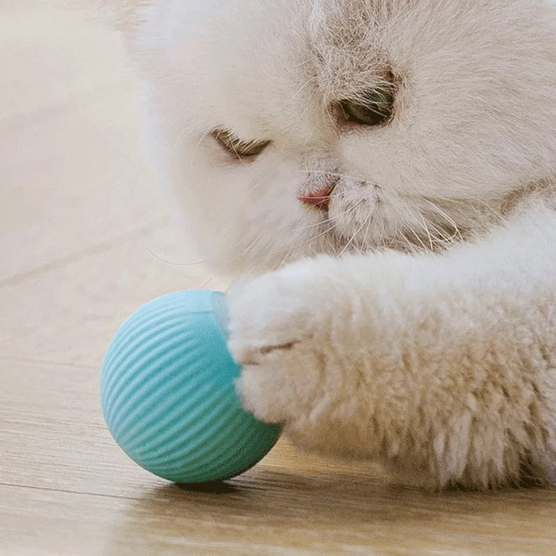 Interactive Smart Cat Ball