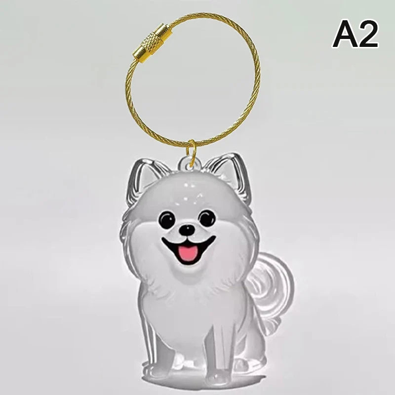 Clear Pet Hair Memorial Capsule Keychain