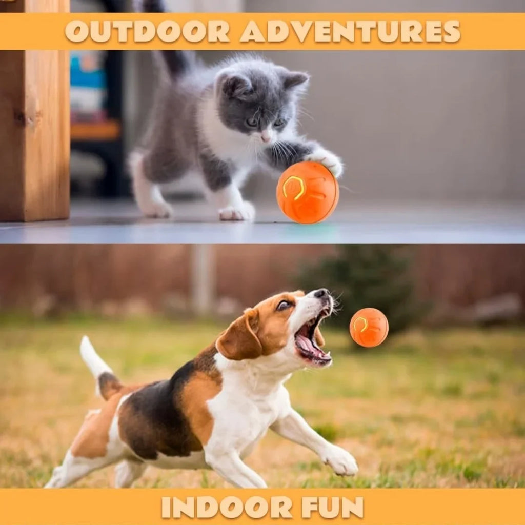 Interactive Smart Bouncing Pet Ball