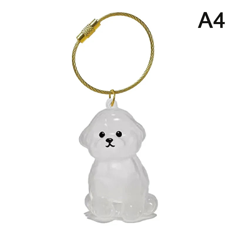 Clear Pet Hair Memorial Capsule Keychain