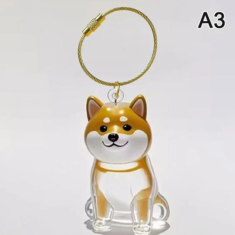 Clear Pet Hair Memorial Capsule Keychain