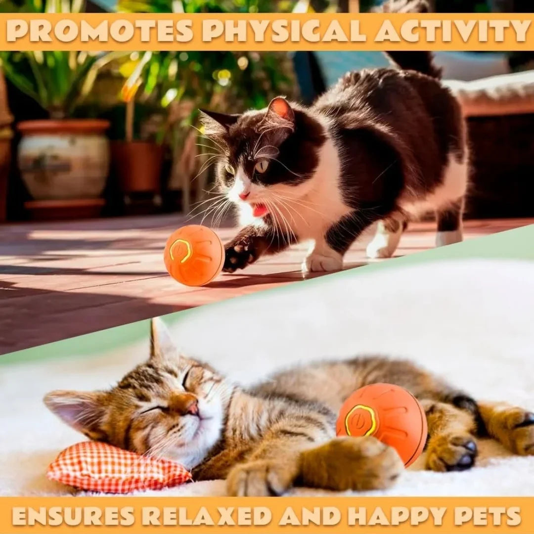 Interactive Smart Bouncing Pet Ball