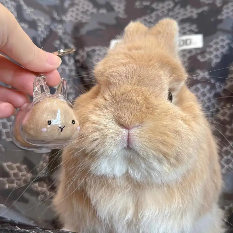 Pet Hair Memorial Keychain Box