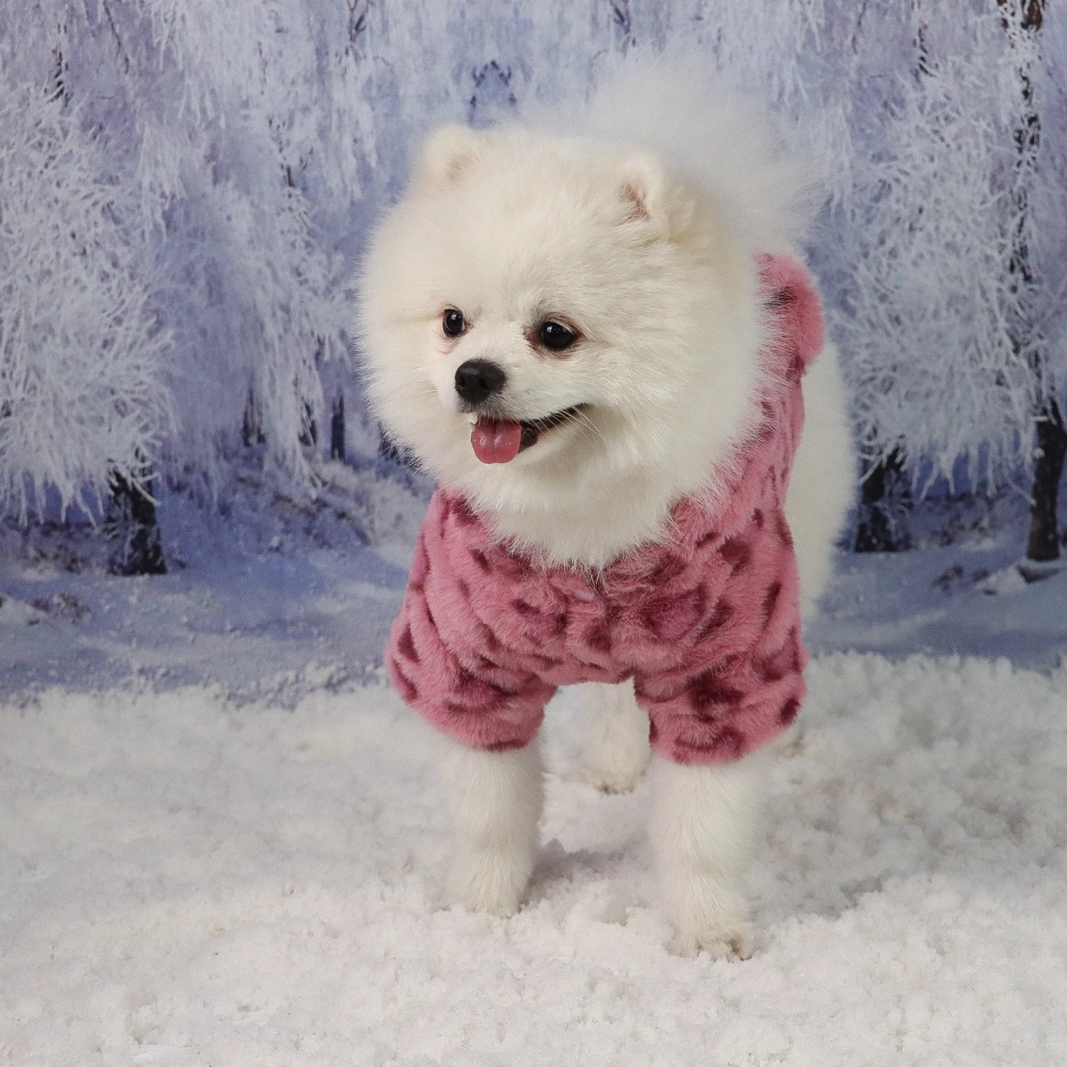 Warm Fleece Hooded Pet Jacket