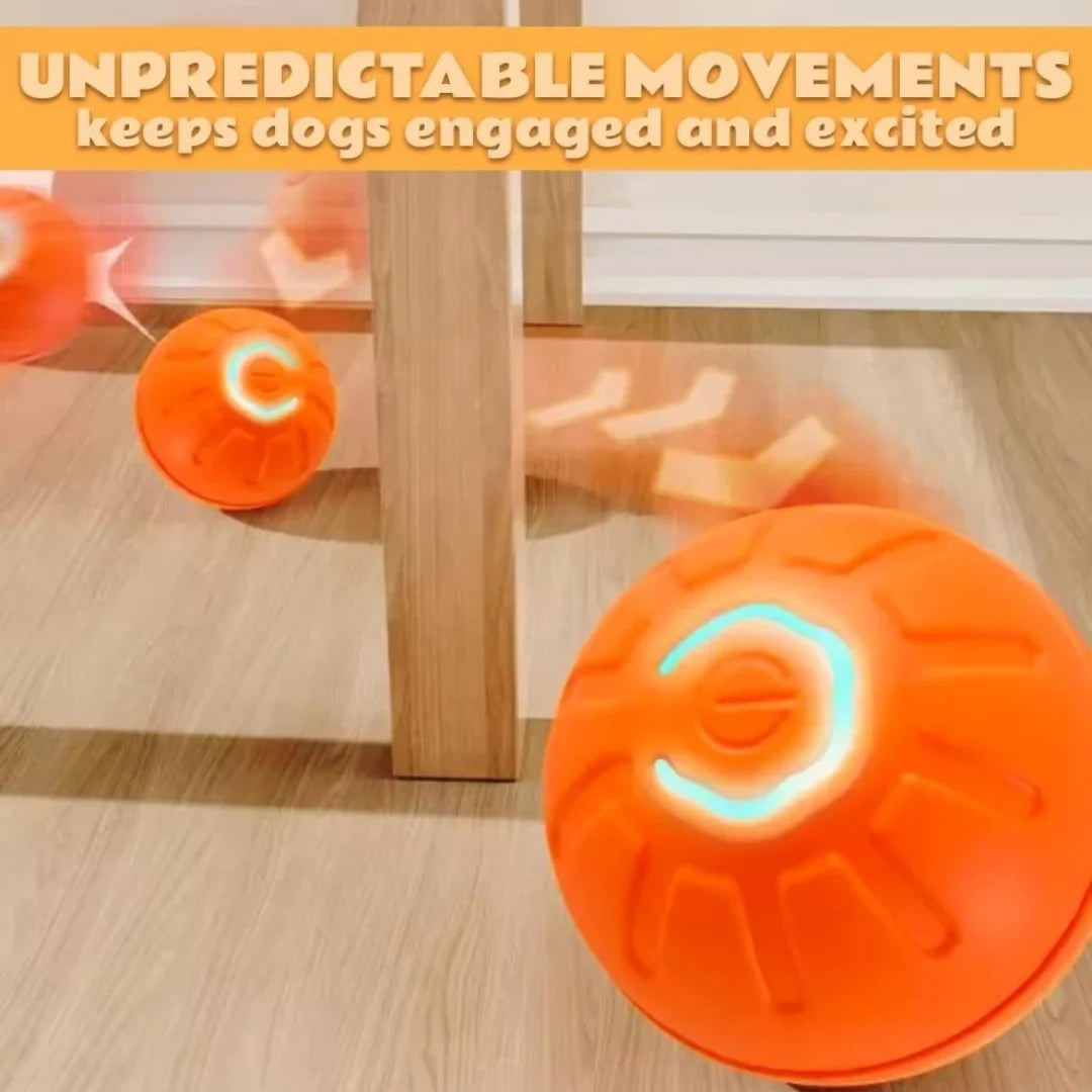 Interactive Smart Bouncing Pet Ball