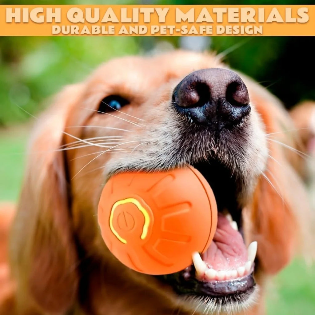 Interactive Smart Bouncing Pet Ball