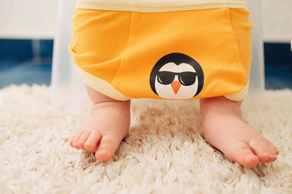 Potty Training & Bedwetting Underwear – Archive Sale