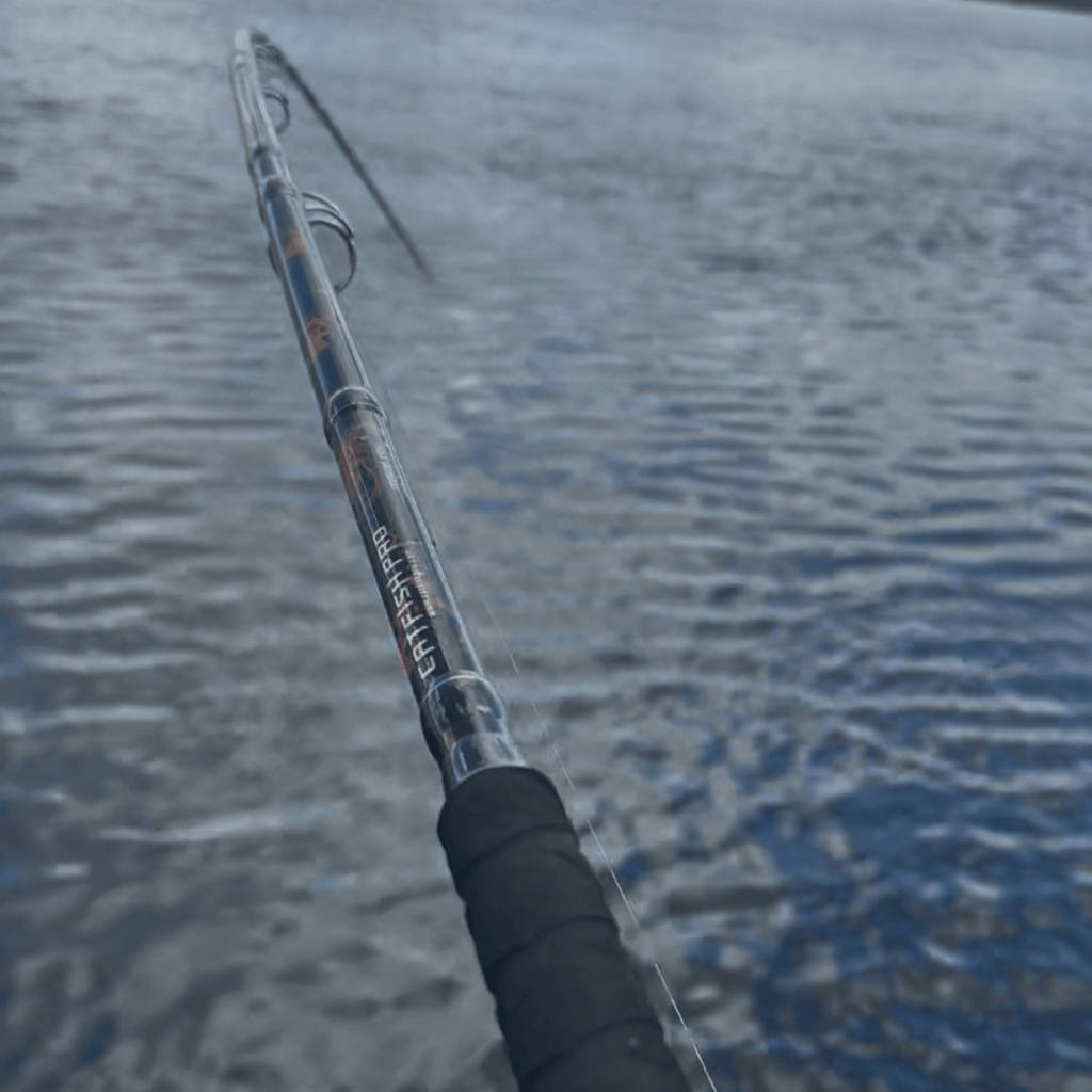 Black Dragon Fire Glow-in-the-Dark Spinning Rod
