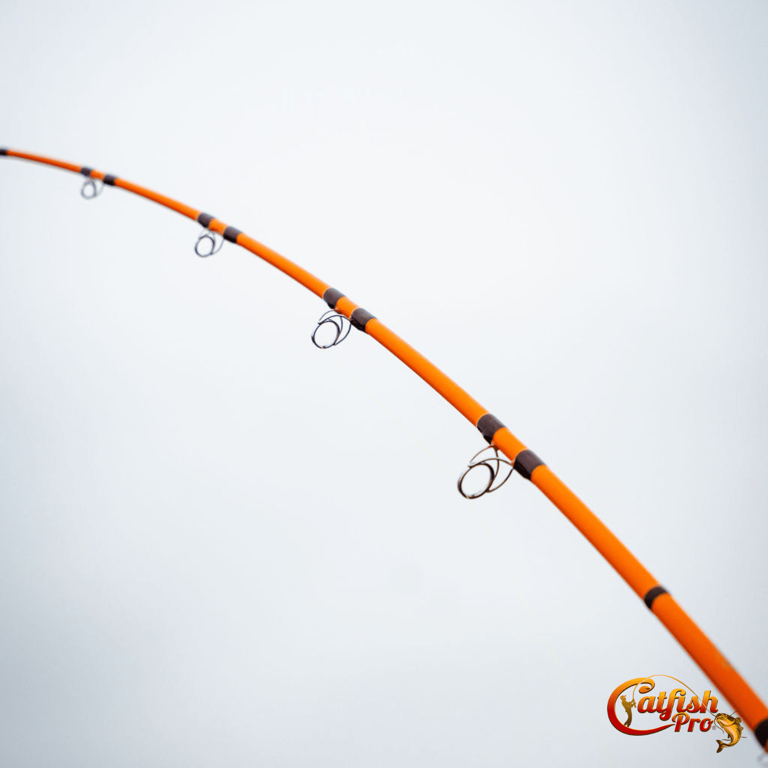 Catfish Pro Fishing for Fun Spinning Combo