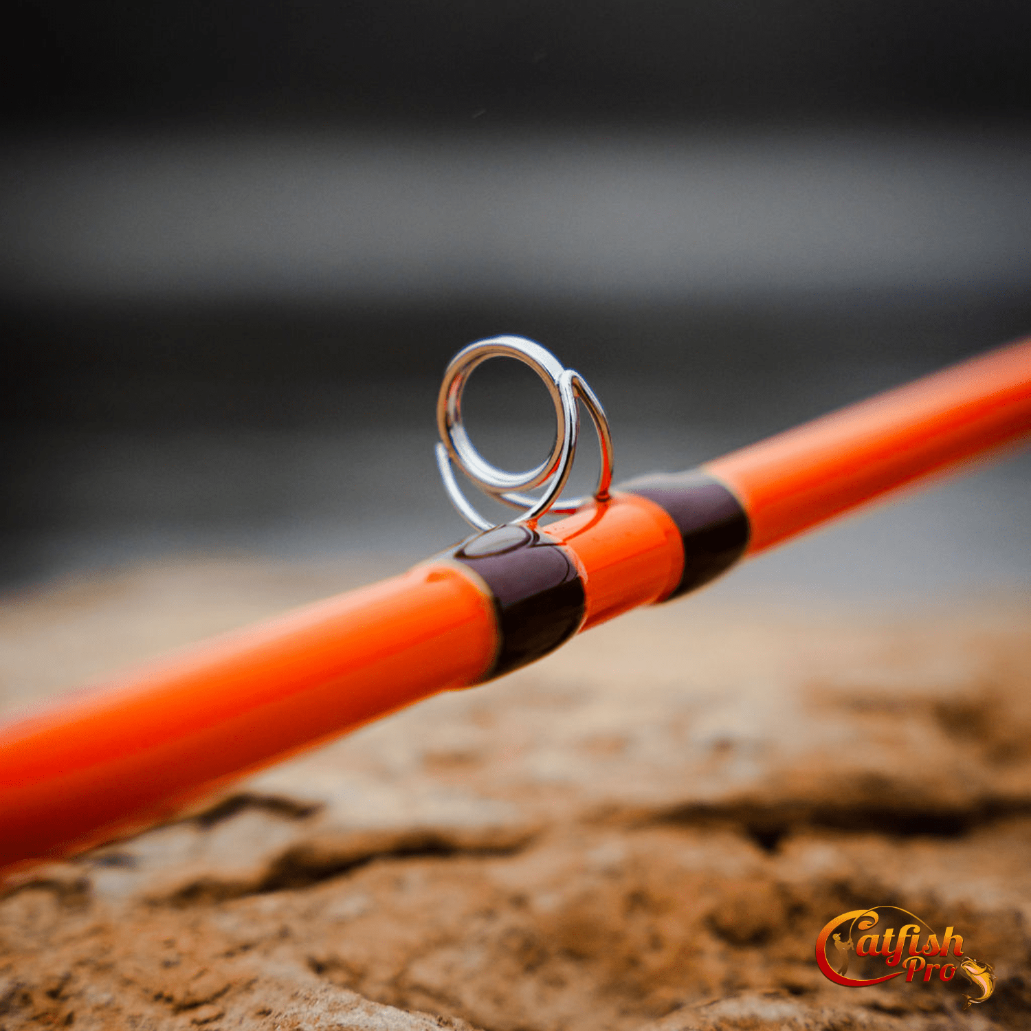 Catfish Pro Fishing for Fun Spinning Combo
