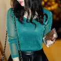 Women’s Sheer Mesh Long-Sleeve Top